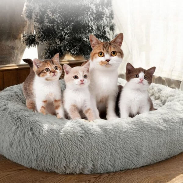 Rundes Katzen Kissen