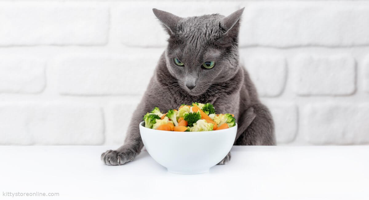 Does vegan diet harm a cat?