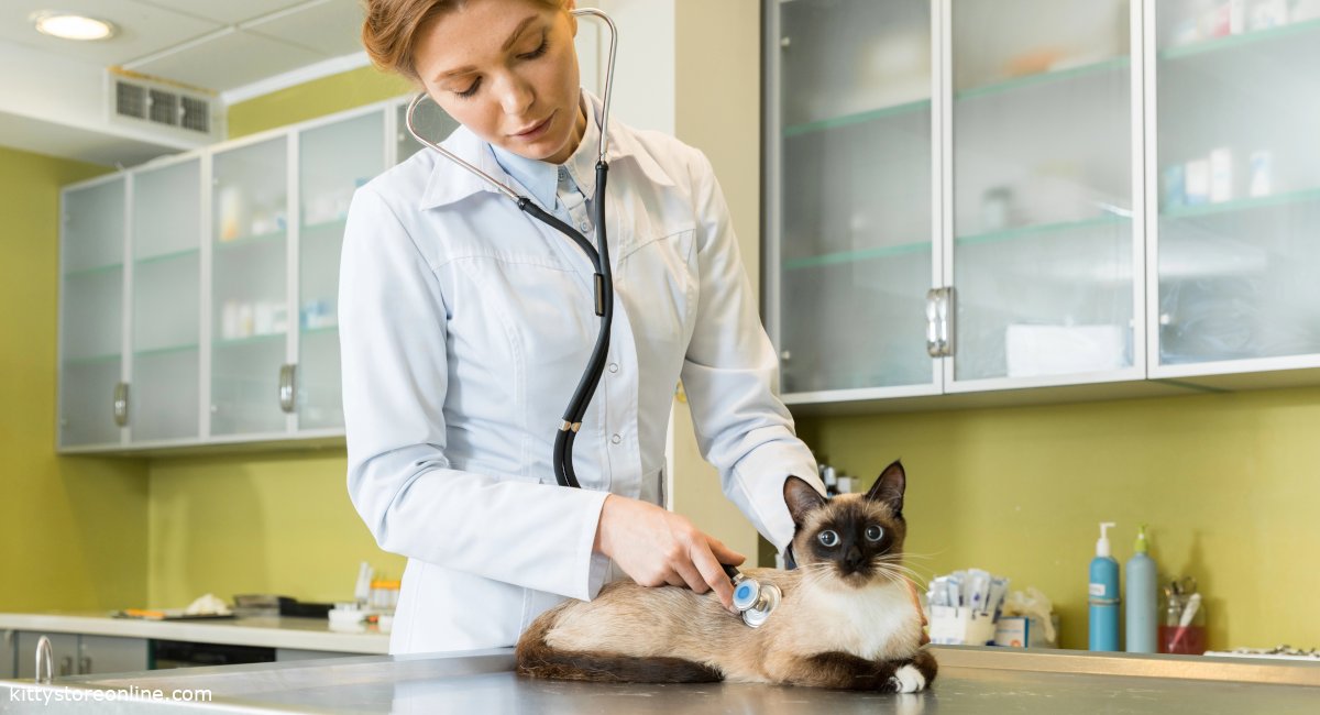 Preventing cancer in cats