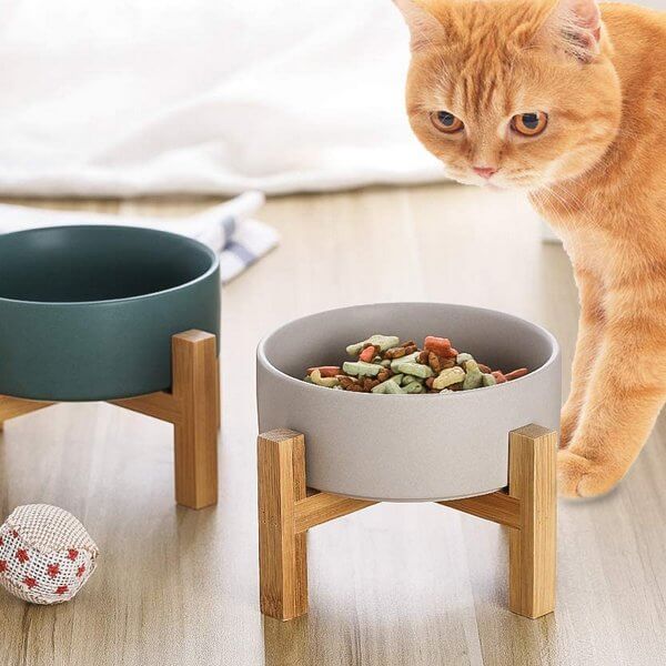 high raised cat bowl