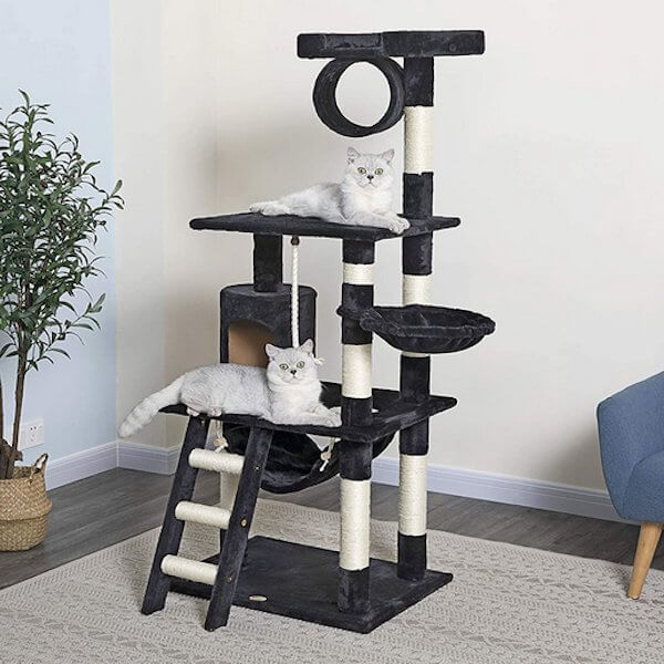 Black Cat Tree