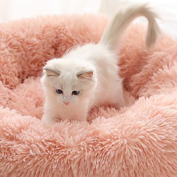 Soft Short Plush Kitten Bed