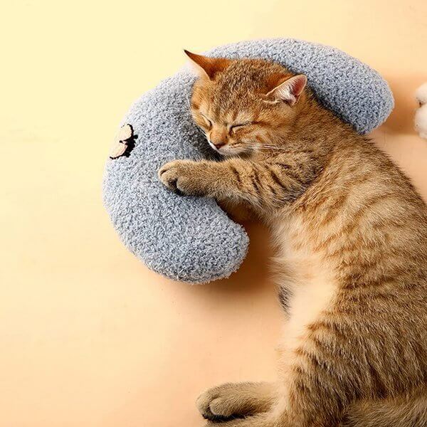 Little Pillow for Cats
