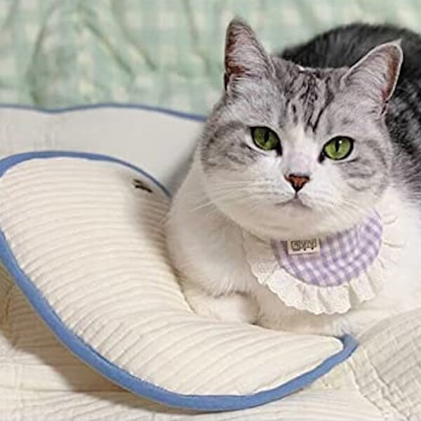 MNP Pet Organic Pillow